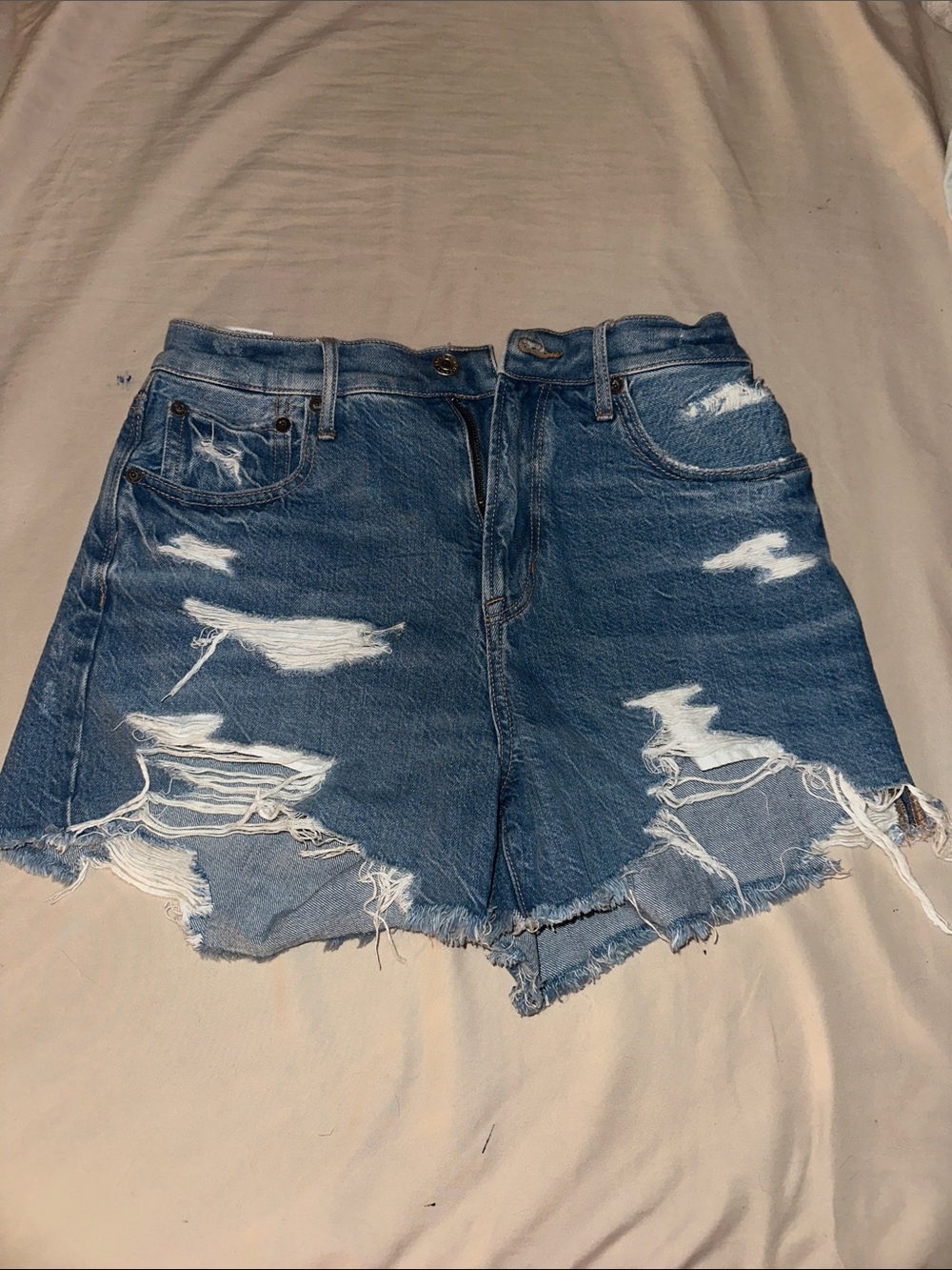 American Eagle Outfitters Distressed Denim Cutoff Shorts - Blue